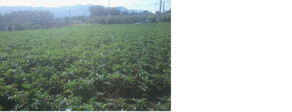 Parcela hortícola utilizada para formación y manejo agrícola